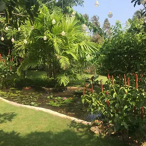 Le Jardin D'alice Hotel Phan Thiet